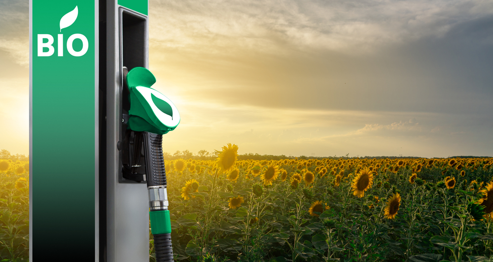 définition biocarburant