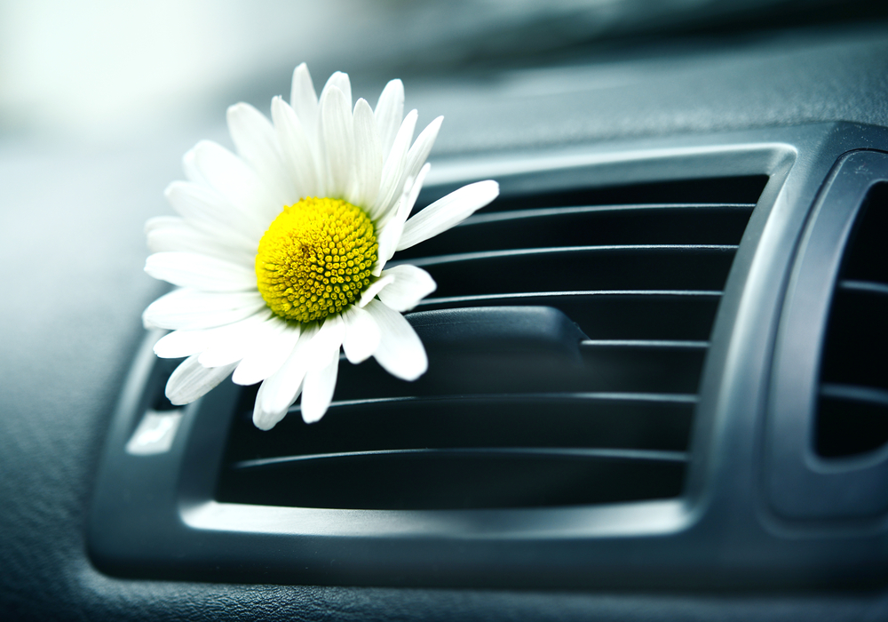 Climatisation de voiture : tout ce que vous devez savoir